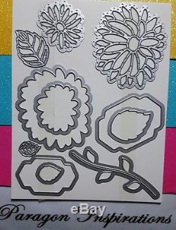 BRAND NEW Stampin Up SPECIAL REASON Set & STYLISH STEMS Framelits Dies Flowers