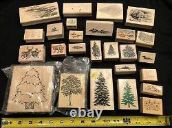 Craft Stamping Set (Lot Of 46 Stamps), Cards/Envelopes, Paper Edgers, Pads