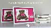 How To Watercolor With Stampin Up S Baby Bear Stamp Set Episode 494