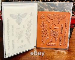 New Rare Retired Stampin Up Queen Bee Stamp Set, Dies And Hive Ef Bundle! New