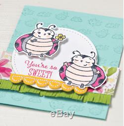 New, Stampin Up LITTLE LADYBUG stamp Set & DIES Flower, Cute Sentiments Bundle