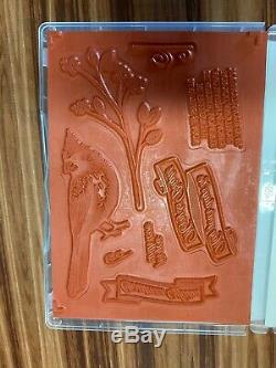 New Stampin Up TOILE CHRISTMAS Bundle Stamp Set Dies DSP Cardinal Words Branch
