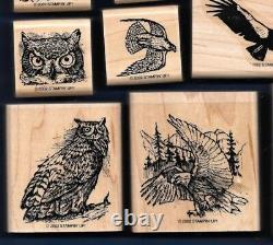 OWL EAGLE Wildlife BIRDS OF PREY Feather RARE Stampin Up! 2002 wood RUBBER STAMP