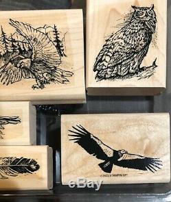 RARE Stampin Up BIRDS OF PREY Feathers Eagle Owl Wildlife 2002 HTF Vintage Set