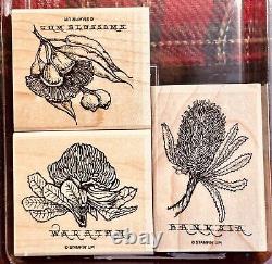 Rare Stampin Up Bloom Away Australian Stamp Set Retired Banksia Gum Tree Waratah