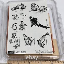 SEA LIFE SET Turtle SEAGULL Seal Realistic Marine Ocean Stampin Up! RUBBER STAMP