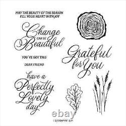 Stampin' Up! - AUTUMN EXPRESSIONS SUITE Stamp Set, Dies, DSP, Ribbon, +2 More NEW