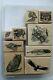 Stampin Up Bird of Prey set of 9 Retired Eagle, Owl