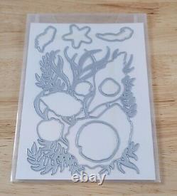 Stampin Up FRIENDS ARE LIKE SEASHELLS Coordinating Stickers Dies & Stamp Sets