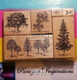 Stampin Up LOVELY AS A TREE Wood Stamp Set & Matching Framelits DIES BY DAVE