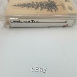 Stampin Up Lovely As A Tree Maple Pine Fir Wood Mounted Nature Rubber Stamp Set