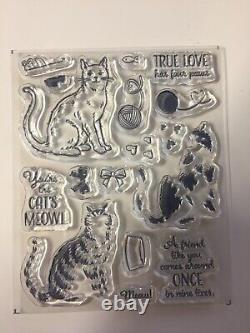 Stampin' Up! NINE LIVES Stamp Set (NEW), CAT Punch & PETS & HALLOWEEN DSP too