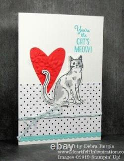 Stampin' Up! NINE LIVES Stamp Set (NEW), CAT Punch & PETS & HALLOWEEN DSP too