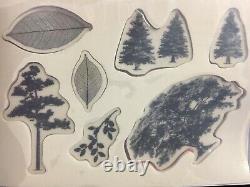 Stampin' Up! ROOTED IN NATURE 2pc Stamp Set & DIES, WOOD TEXTURE DSP + more