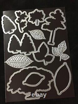 Stampin' Up! ROOTED IN NATURE 2pc Stamp Set & DIES, WOOD TEXTURE DSP + more