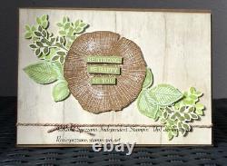 Stampin' Up! ROOTED IN NATURE 2pc Stamp Set, NATURES ROOTS Dies & mega DSP! (#2)