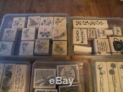 Stampin Up! Rubber Stamp Lot Brand New Un-used 9 Sets Flowers Coffee Butterfly