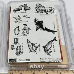Stampin Up SEA LIFE SET Turtle SEAGULL Seal Realistic Marine Ocean RUBBER STAMP