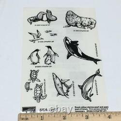 Stampin Up SEA LIFE SET Turtle SEAGULL Seal Realistic Marine Ocean RUBBER STAMP