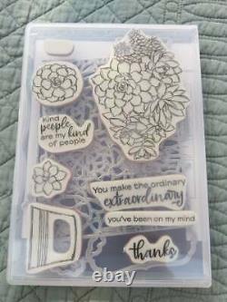 Stampin' Up! SIMPLY SUCCULENTS stamp Set & POTTED SUCCULENTS Dies Bundle
