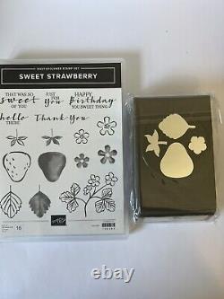 Stampin Up SWEET STRAWBERRY stamp set and STRAWBERRY BUILDER punch bundle