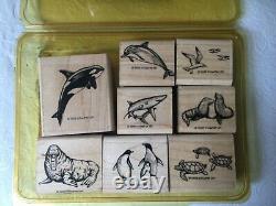 Stampin Up Sea Life Stamp Set Whale Dophin Walrus Seal Shark Turtle Rare Retired
