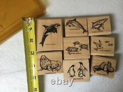 Stampin Up Sea Life Stamp Set Whale Dophin Walrus Seal Shark Turtle Rare Retired