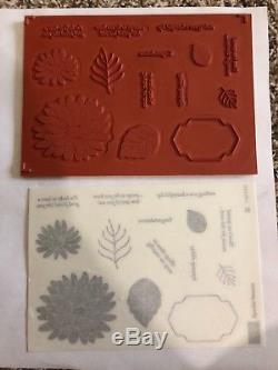 Stampin Up! Special Reason Stamp Set with Dies Clear Mount Stamps