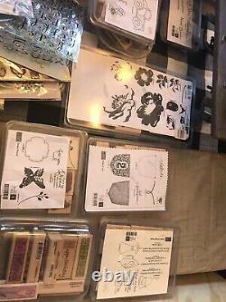 Stampin Up Stamp Sets HUGE COLLECTION! Holiday, Christmas, Halloween, Frogs, Etc