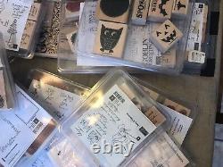 Stampin Up Stamp Sets HUGE COLLECTION! Holiday, Christmas, Halloween, Frogs, Etc