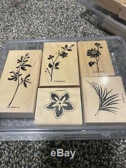 Stampin' Up Stamps Set LOT ALL NEW