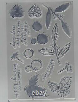 Stampin' Up! Sweet Strawberry Bundle 2 Stamp Sets, Punch & DSP NEW. FREE Ship