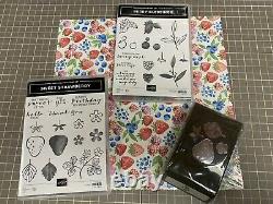 Stampin' Up! Sweet Strawberry Bundle 2 Stamp Sets, Punch and DSP NEW