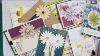 Stretch Your Stamps 18 Cards One Stamp Set Daisy Delight Stampin Up Stamps