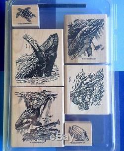 UNDER THE SEA Fish Dolphin BREACH WHALES Turtle OCTOPUS Ocean Stampin Up Set RET