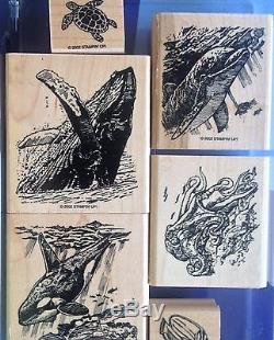 UNDER THE SEA Mammals Dolphin WHALES Turtle OCTOPUS Ocean Stampin Up Set RETIRED