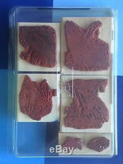 UNDER THE SEA Mammals Dolphin WHALES Turtle OCTOPUS Ocean Stampin Up Set RETIRED
